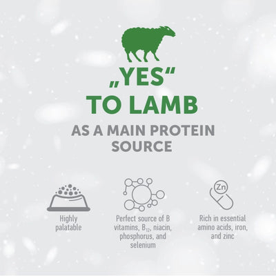 Nature's Protection Mobility & Joint Health, LAMB 150 g