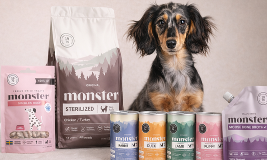 Giver du din hund det bedste foder? 🐾