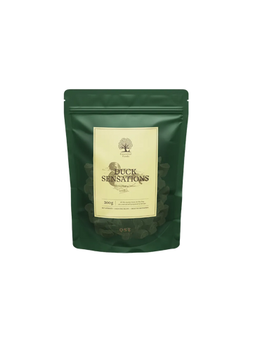 Essential Foods Sensations Hundegodbidder med And