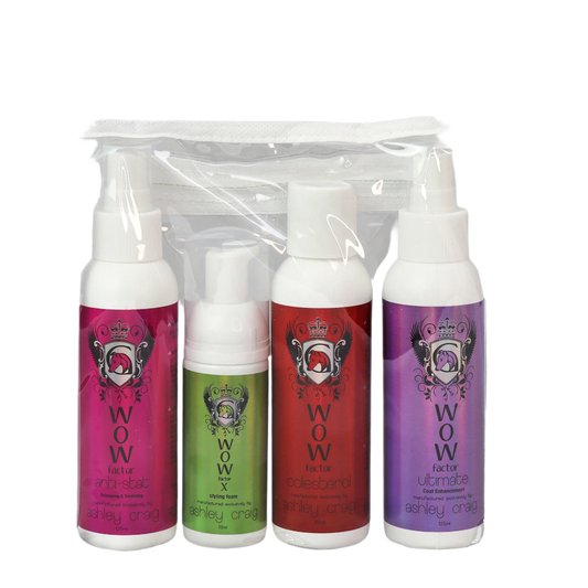 Ashley craig wow styling rejsesæt 4x125ml