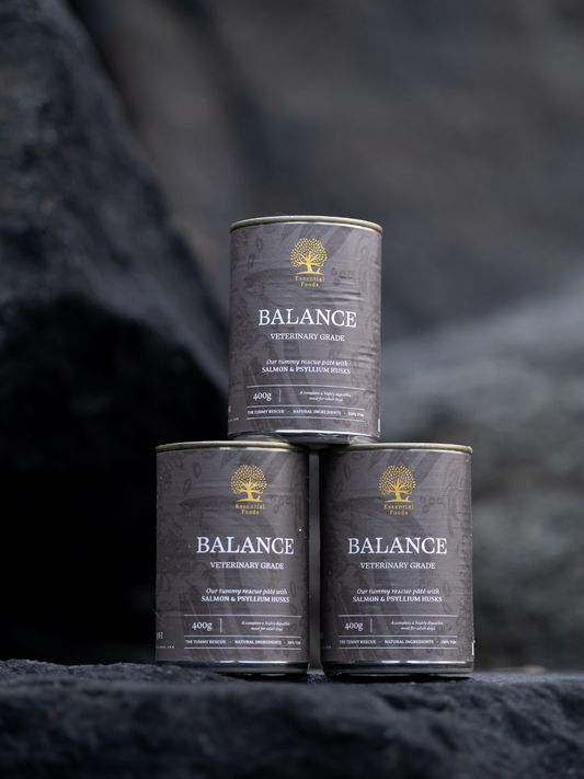 Essential Foods Balance Paté - Vådfoder med laks 400 g til sart mave