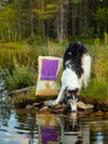 Essential Heritage Highland Living Large Breed - Kornfri Tørfoder med kalkun, fjervildt & angus okse 10 kg