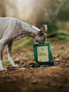 Essential Foods Sensations Hundegodbidder med And