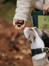 Essential Foods Sensations Hundegodbidder med Kanin & Rosmarin