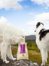 Essential Heritage Highland Living Small Breed - Kornfri Tørfoder med kalkun, fjervildt & angus okse 2,5