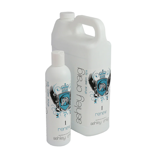 Ashley craig show salon spa renew (1) balsam