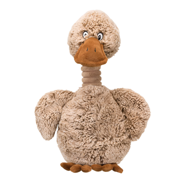 Companion Brun plys and