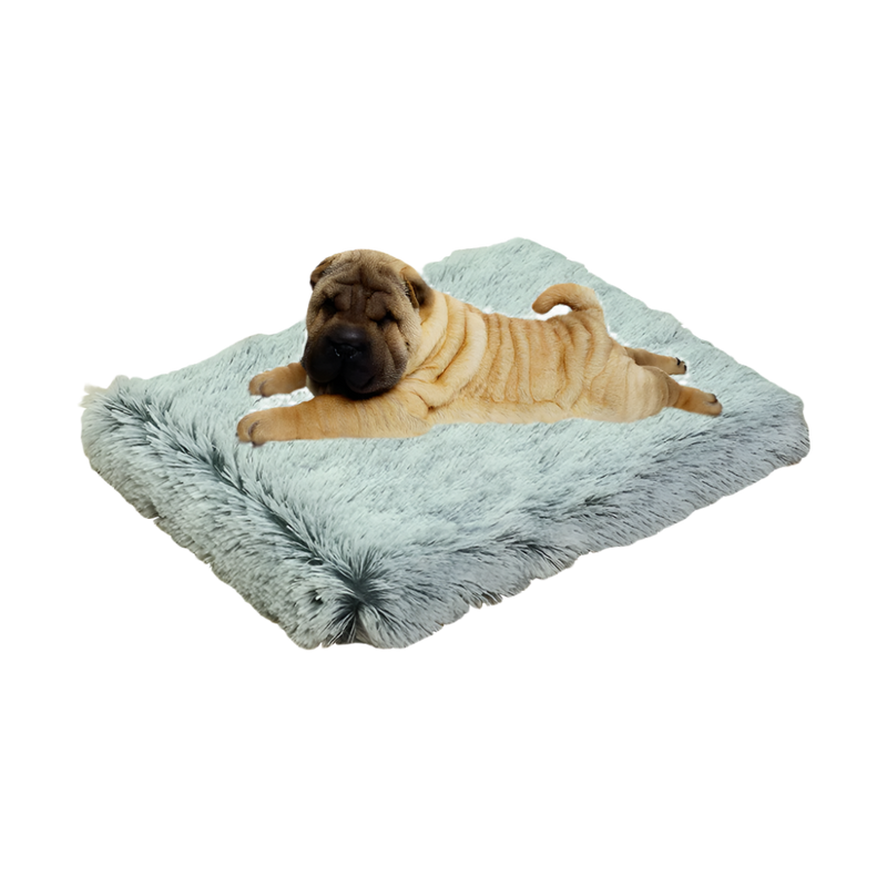 CBK Welness hundeseng mocha meleret