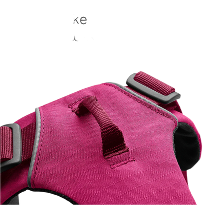 FRONT RANGE HUNDESELE PINK/FUSCHSIA