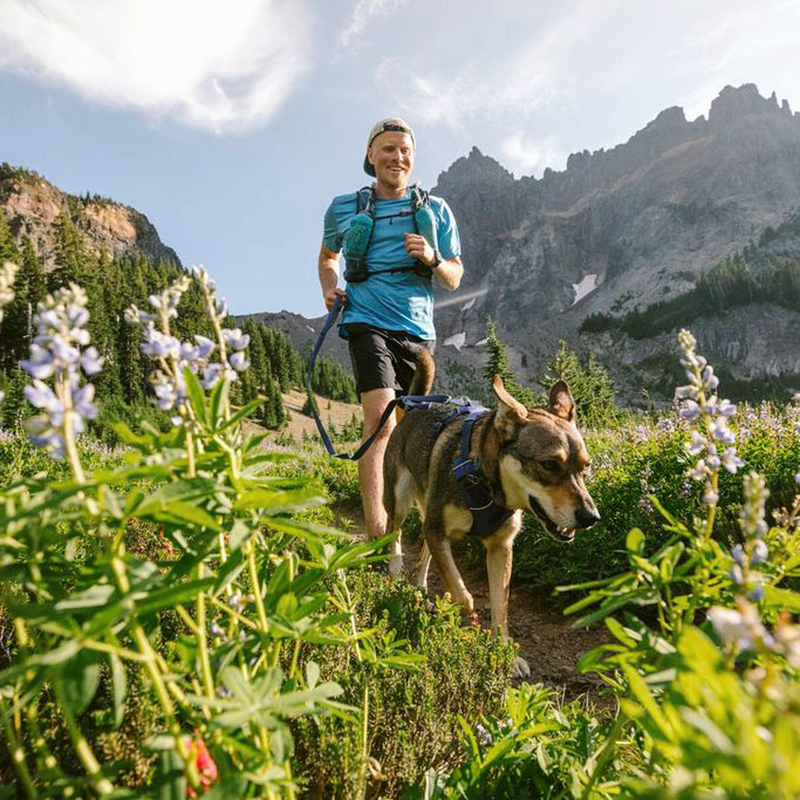 Front Range Sele, By Ruffwear  Huckleberry Blue, Hundesele