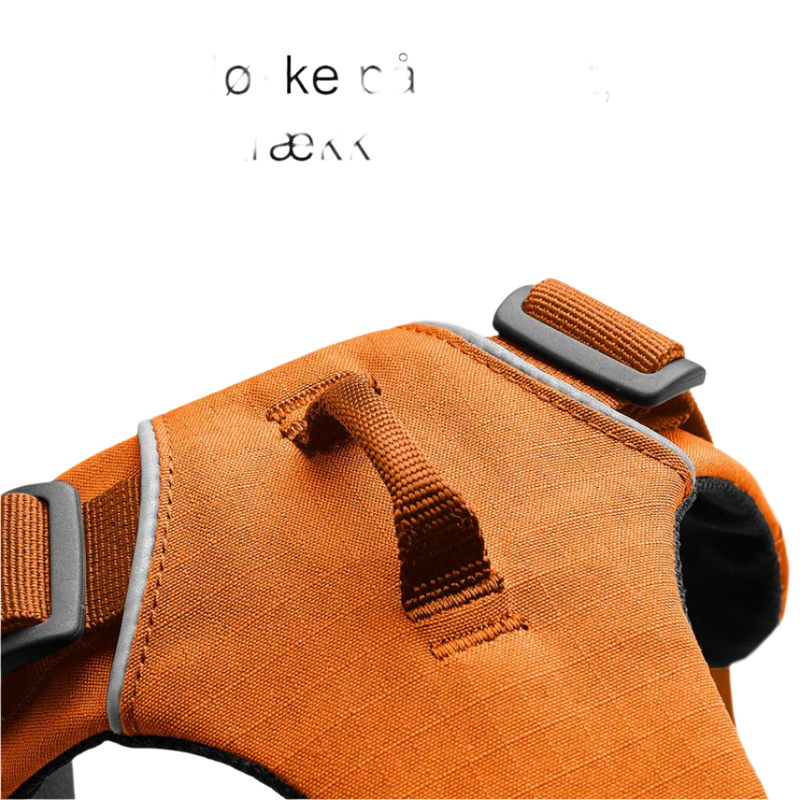 Front Range Sele by Ruffwear Orange