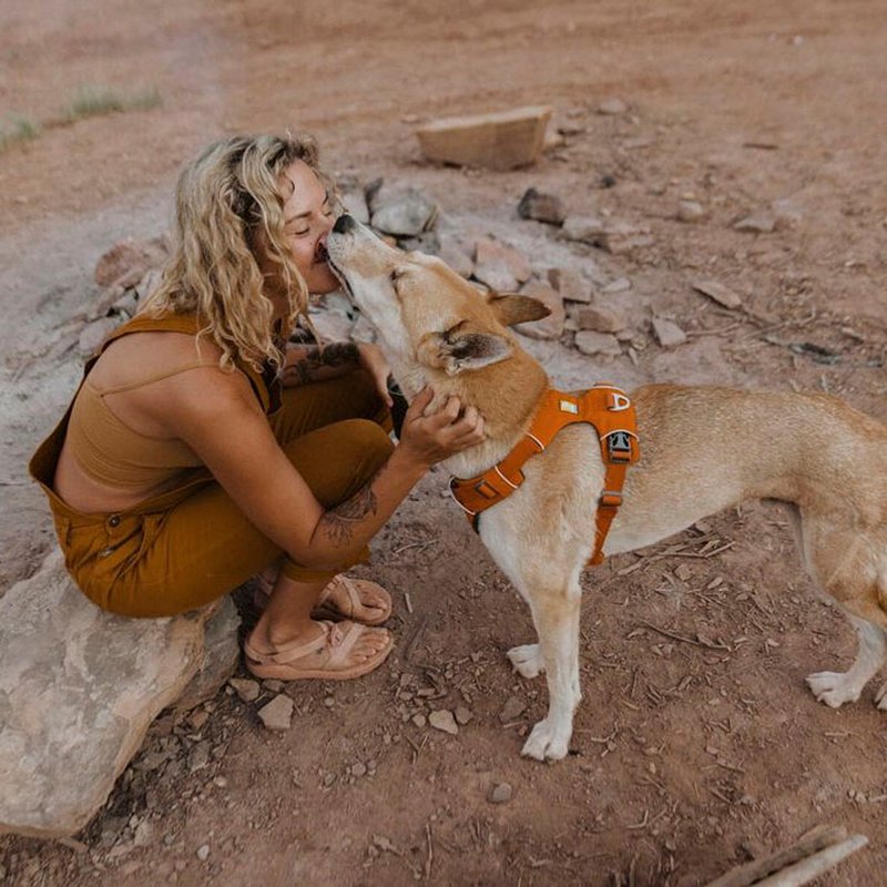Front Range Sele by Ruffwear Orange