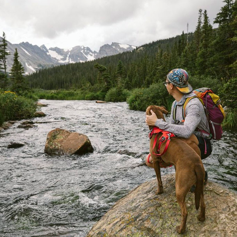 Front Range Sele, By Ruffwear Rød