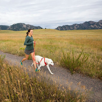 Front Range Sele, By Ruffwear Rød