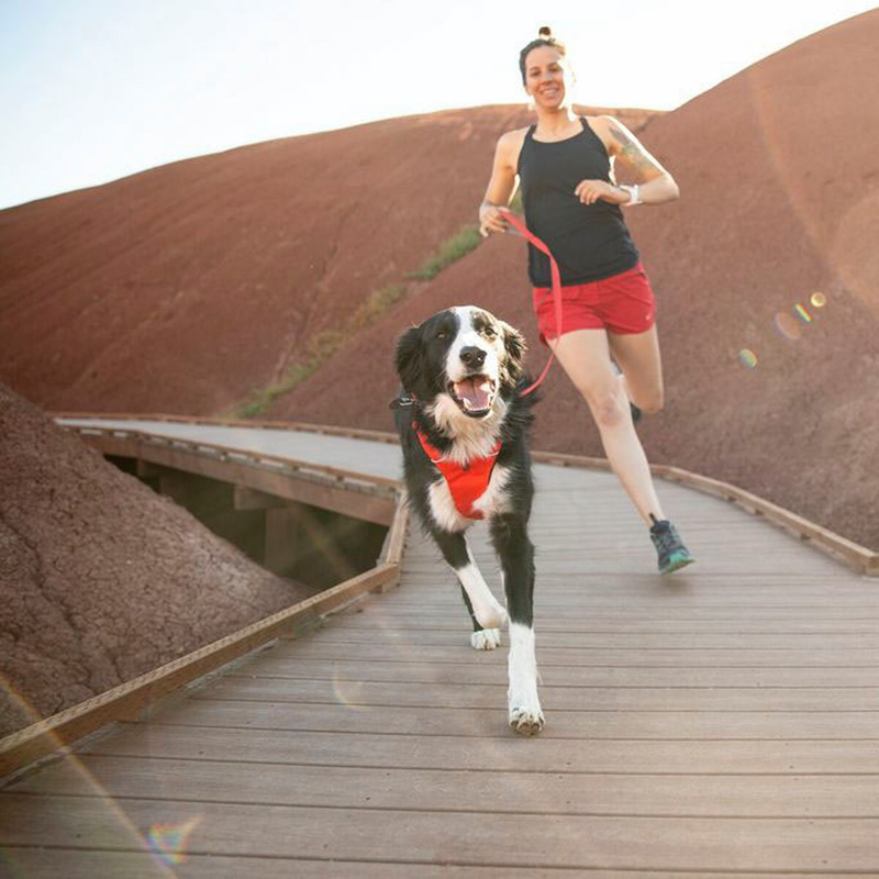 Front Range Sele, By Ruffwear Rød