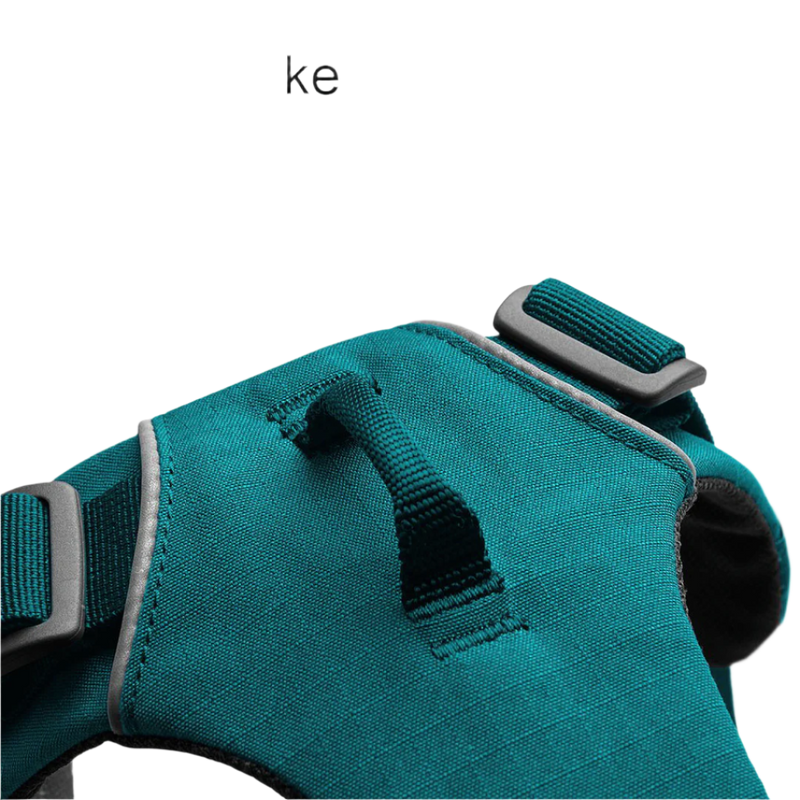 Front Range Sele, By Ruffwear Tumalo Teal