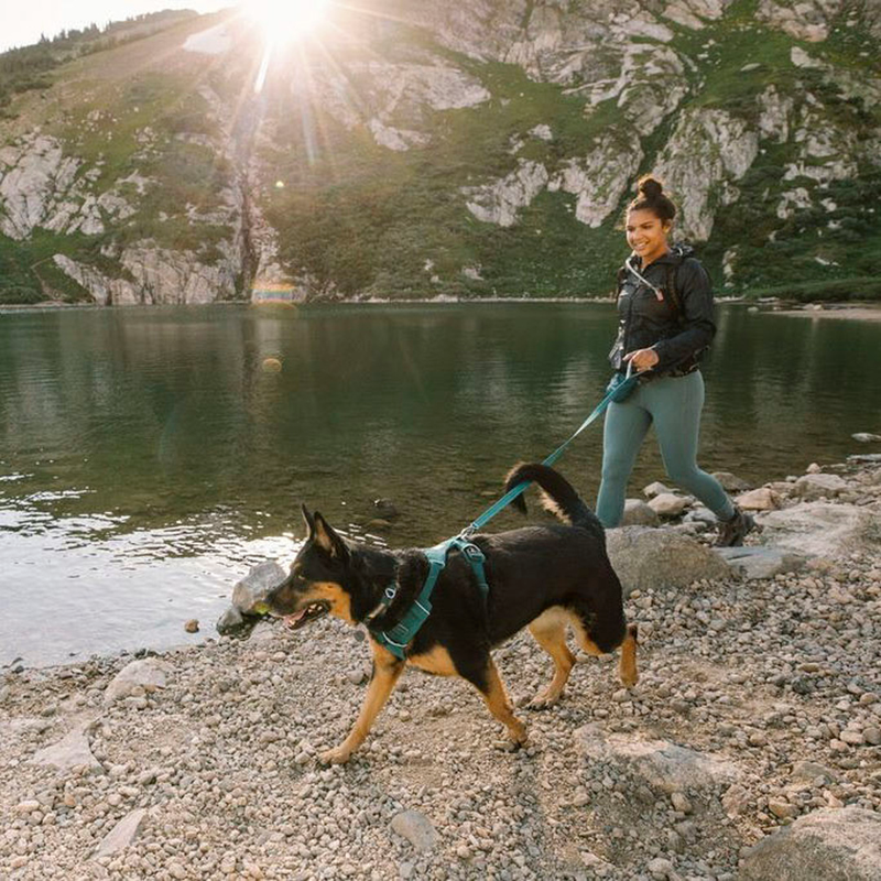 Front Range Sele, By Ruffwear Tumalo Teal