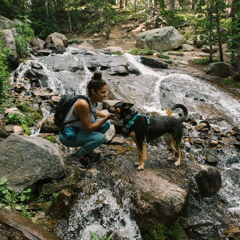 Front Range Sele, By Ruffwear Tumalo Teal