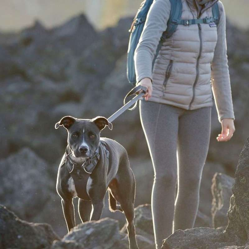 Front Range Sele, By Ruffwear Grå