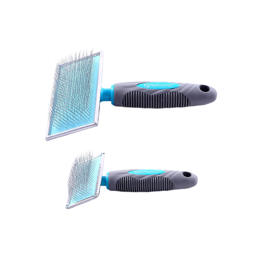 Greyhound firkantet karte large