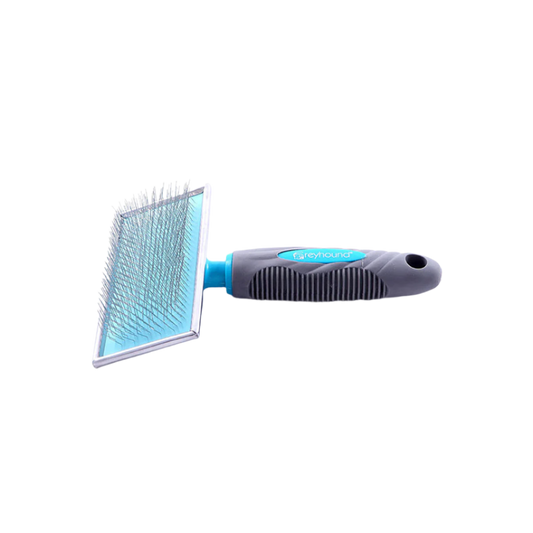 Greyhound firkantet karte large