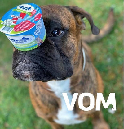 Vom og Hundemat hunde is med oksekød