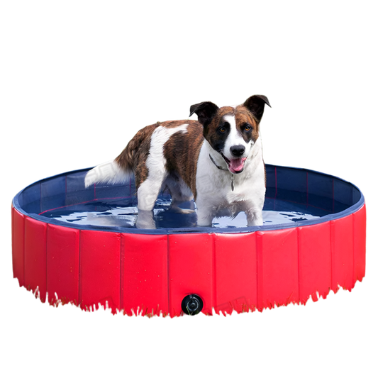CBK Hunde swimmingpool stor 120x30cm