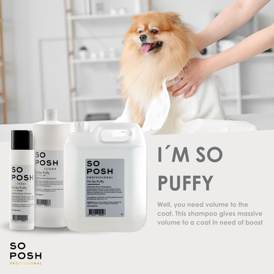 I'm So Puffy Shampoo - Super volume show shampoo
