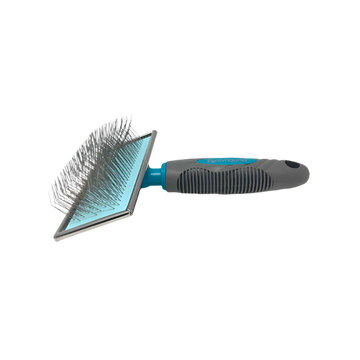 Greyhound firkantet karte ekstra lange tænder