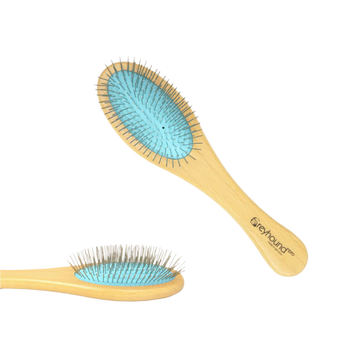 Greyhound oval børste stor 20mm tænder