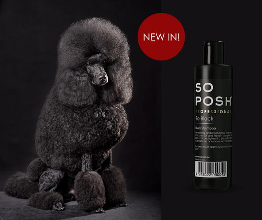 SO POSH So black shampoo