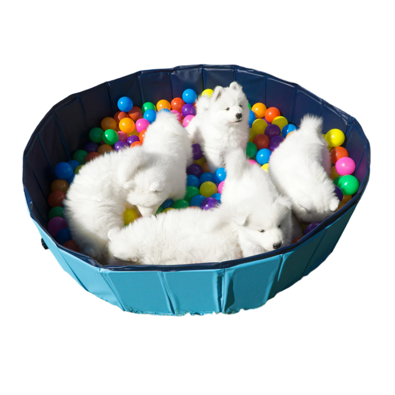 Swimming pool til hunde 100 x 30 cm
