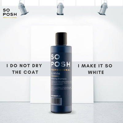 So White Shampoo (lilla) - God til misfarvning