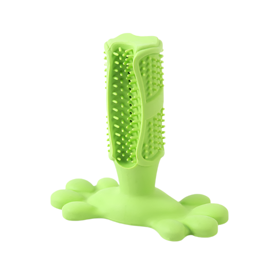 CBK Aktivitets tyggestang med fod stor (flere varianter)