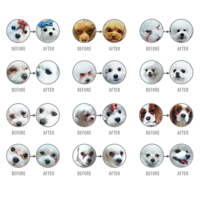 Nature's Protection White Dogs JUNIOR Small Breed, WHITE FISH - SMALL kibbles