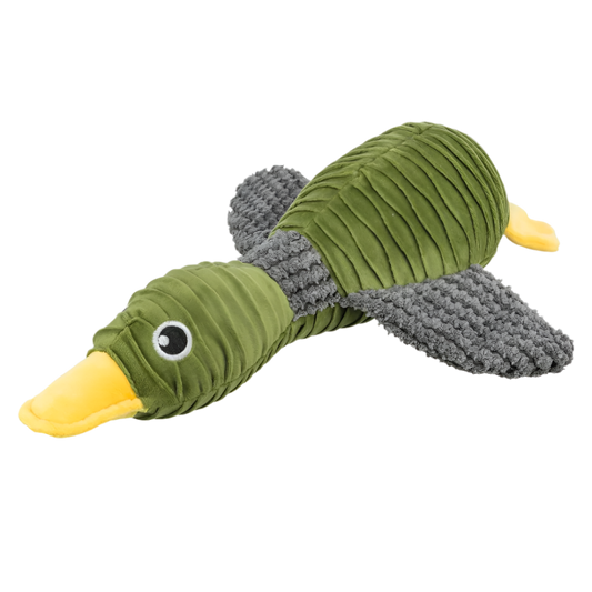 Companion Trixie plys and