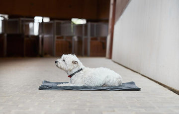 CATAGO Quick Dry Multifunktionelt Tæppe 80 x 100 cm