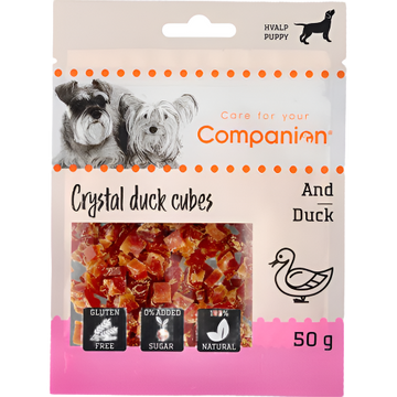 Companion mini and cubes for puppy