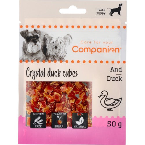 Companion Mini and cubes for puppy