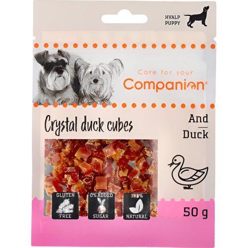 Companion Mini and cubes for puppy
