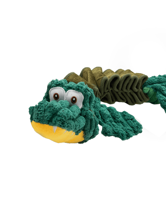 Alligator Bamse