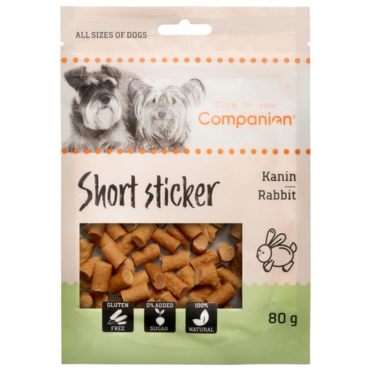 Companion short sticker kanin