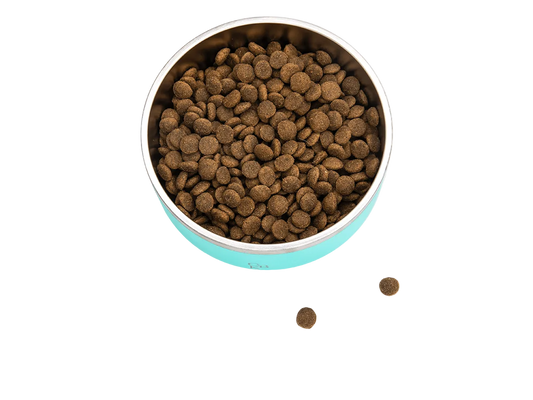 CBK Mad- & Vandskåle Turkis