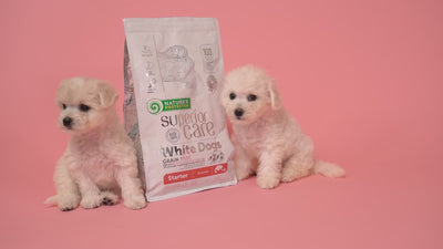 Nature's Protection White Dogs STARTER, All Breed, SALMON - SMALL kibbles