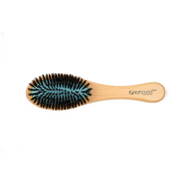 Stor børste, 100% Boar Bristle Greyhound børste, By Ashley Craig fra GroomUs