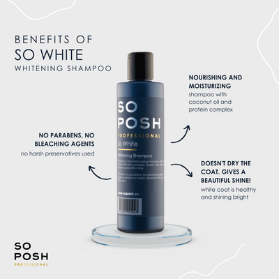 So White Shampoo (lilla) - God til misfarvning