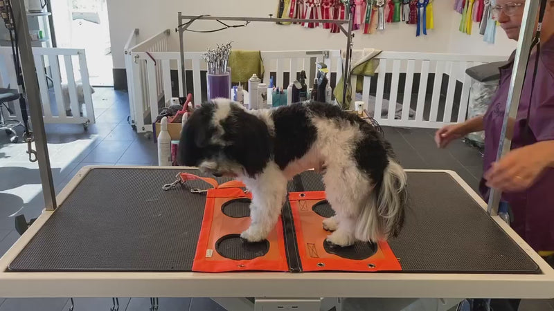 Kiss Grooming Hammock