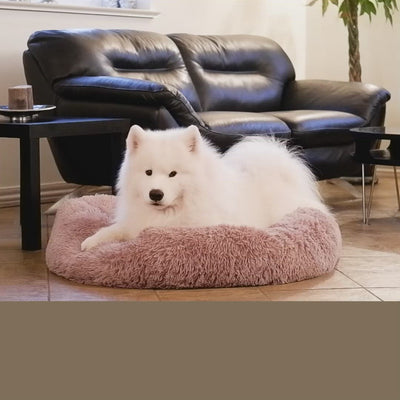 Samojed i Donut hundeseng fra CBK - GroomUs